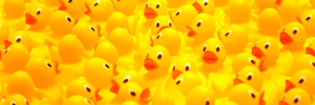 duckoreagle's profile banner image