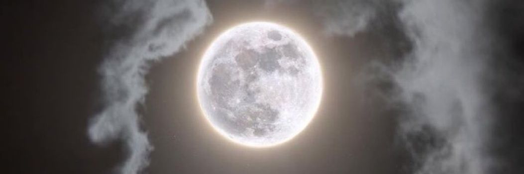 bebewslebew_'s profile banner image
