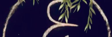 Om6662O's profile banner image