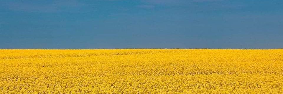 TEJacoby's profile banner image