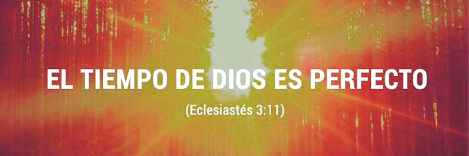 79_oswaldo's profile banner image
