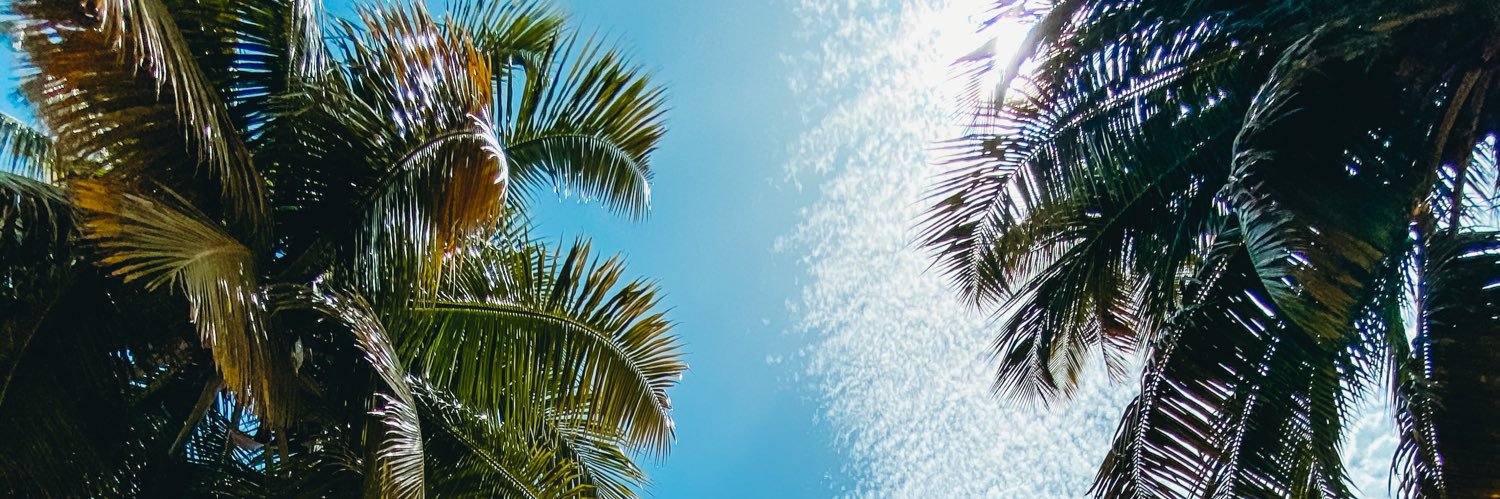 cicasalduc's profile banner image