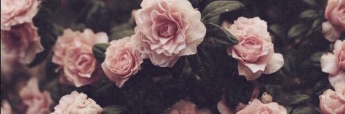 narrymarry's profile banner image