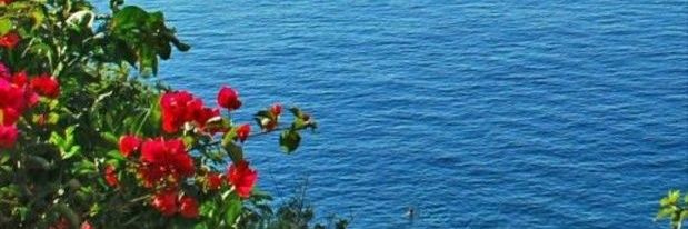 Ara_Colli's profile banner image