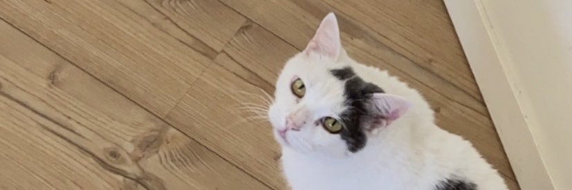 lindinaaa_'s profile banner image