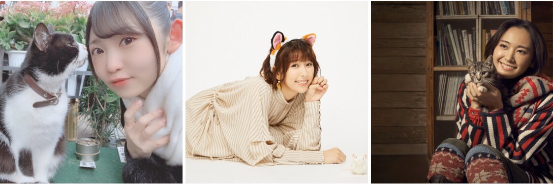 cat_silly_talk's profile banner image