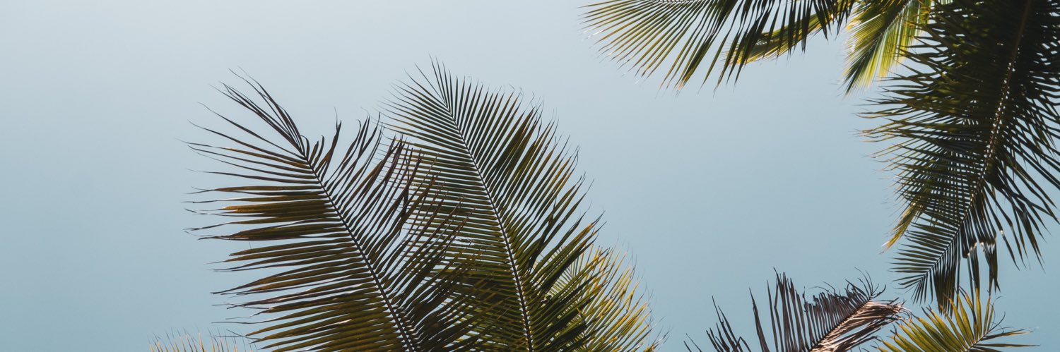 H banner