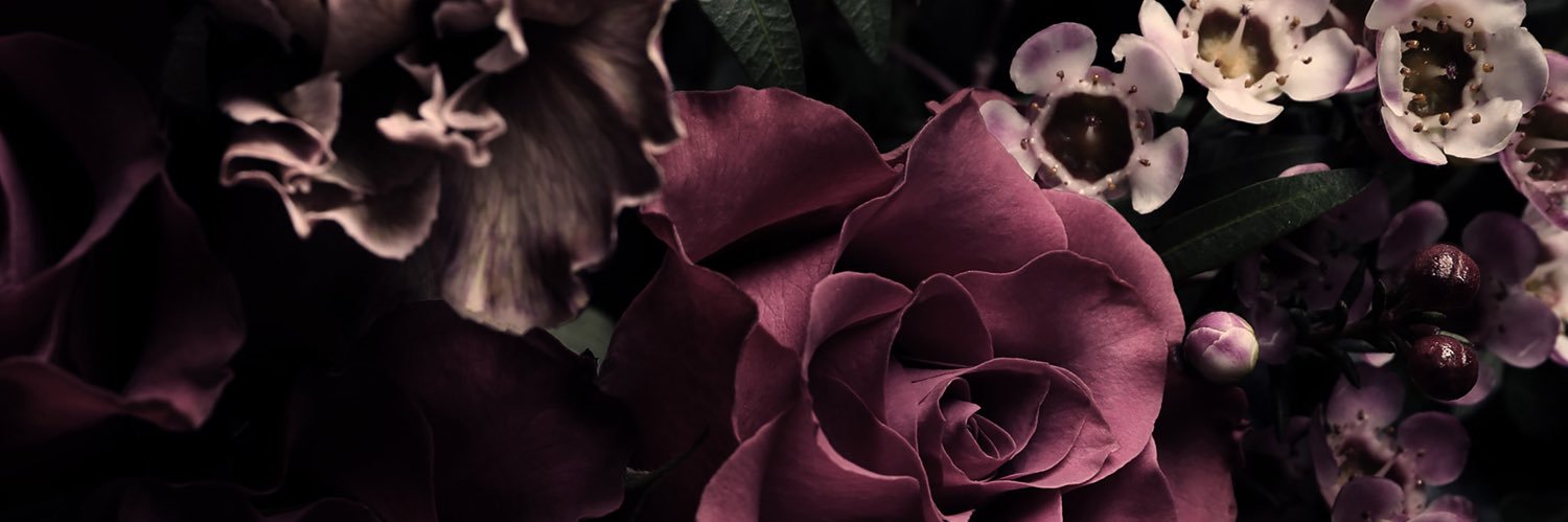 educator_nik's profile banner image