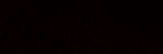 TinocoGladis's profile banner image