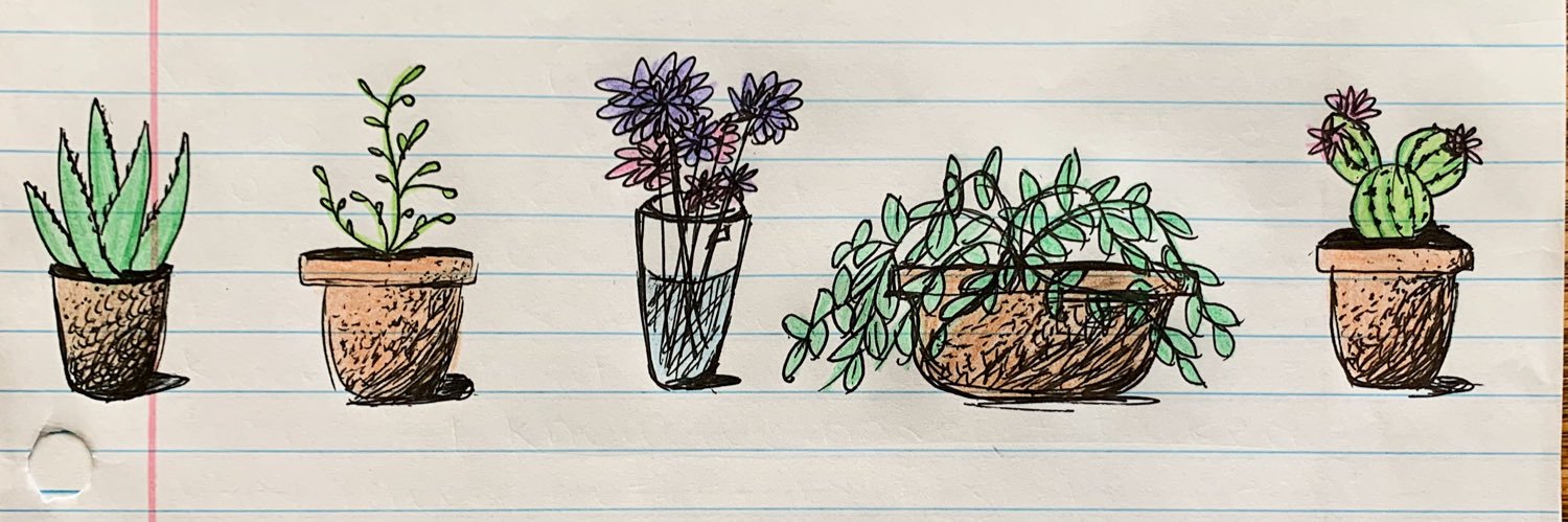 WakleySarah's profile banner image
