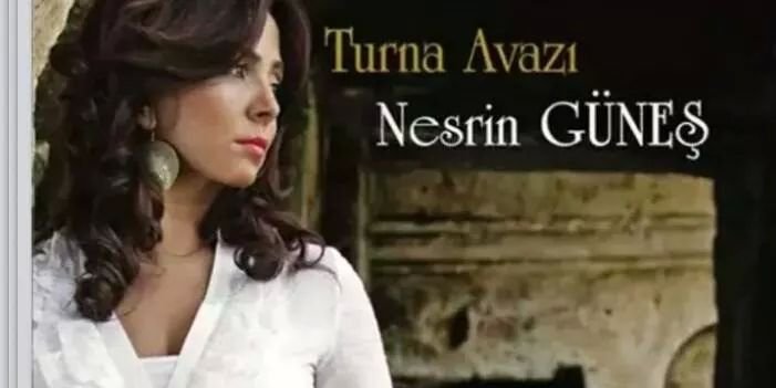 nesringunes83's profile banner image