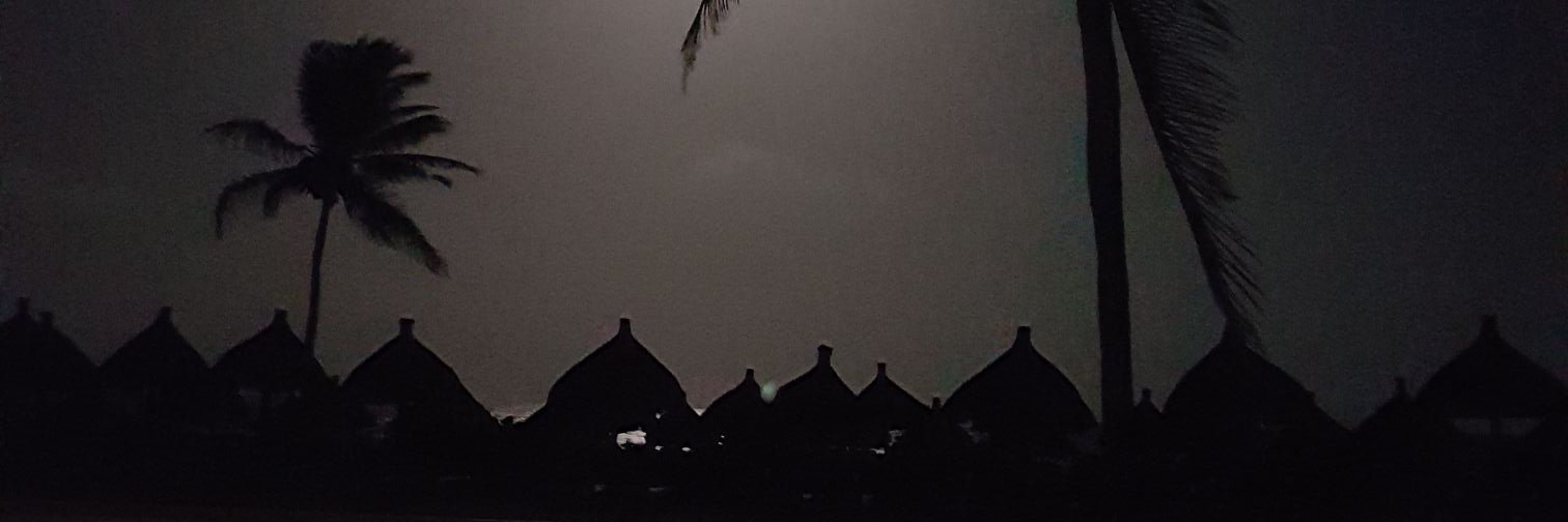 justcarolb's profile banner image