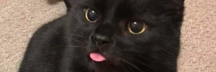 _juhfer's profile banner image