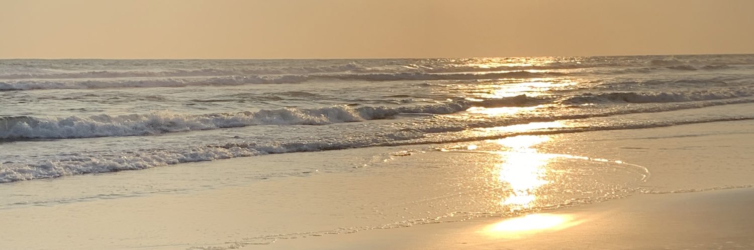 DulceRoesch's profile banner image
