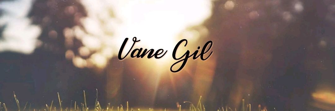vannegil28's profile banner image