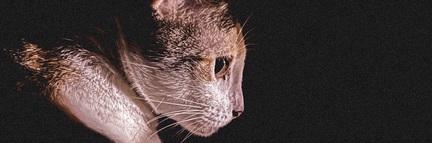 kenspckl's profile banner image