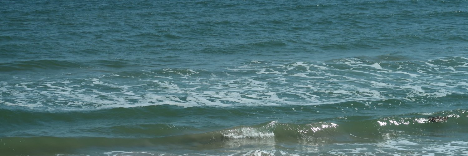 twirlicozy's profile banner image
