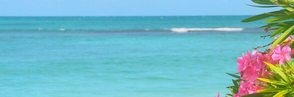 Mayo212T's profile banner image