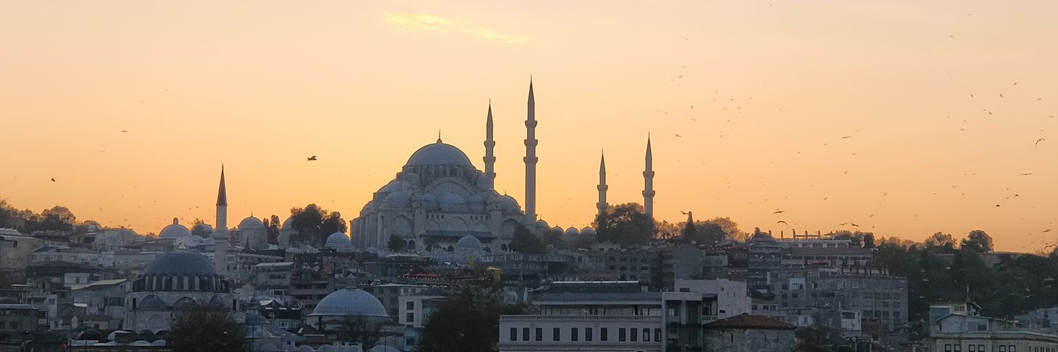 Rebecca Brown banner