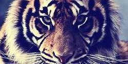 IDFWYouuu_'s profile banner image