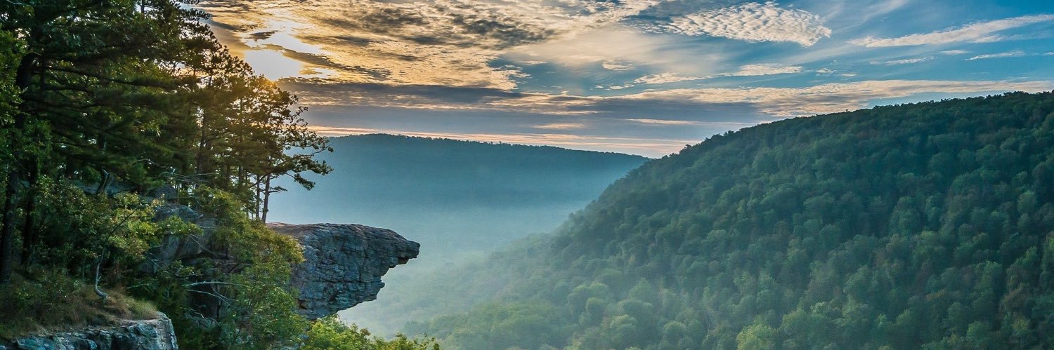 AshleyDavidson4's profile banner image