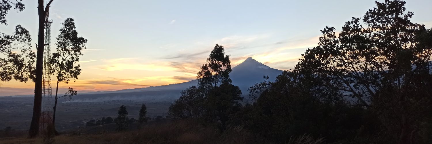 Rigopato's profile banner image