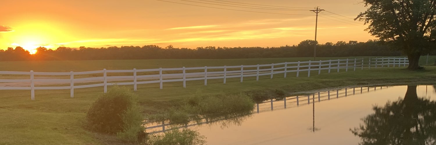 Tgilly_7's profile banner image