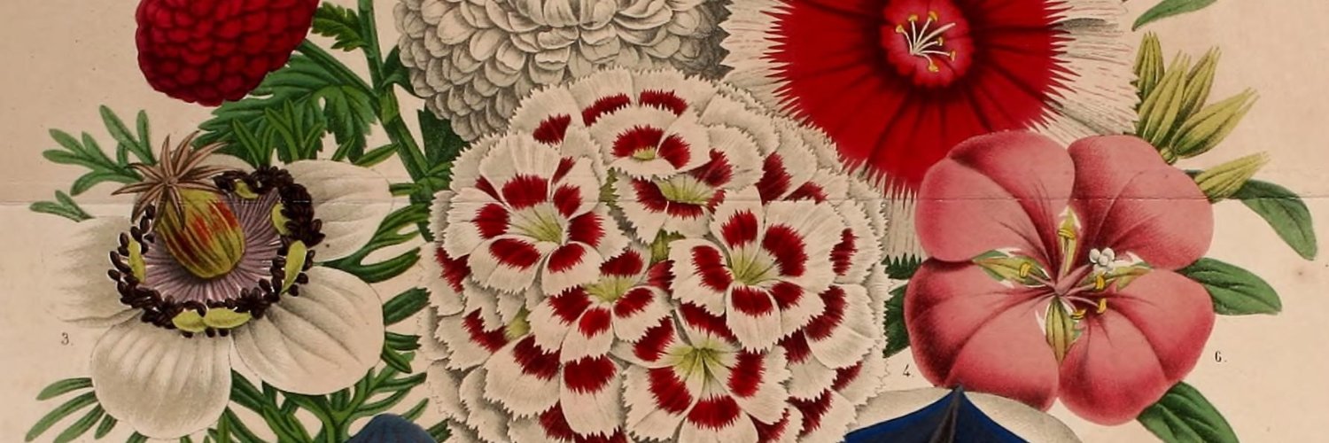 Sara Kiley Watson banner