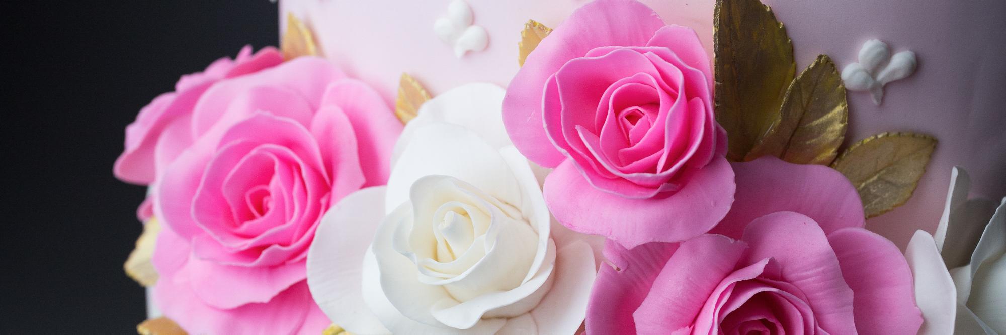 ConceptCakes's profile banner image