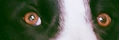 GoldeneyeSales's profile banner image