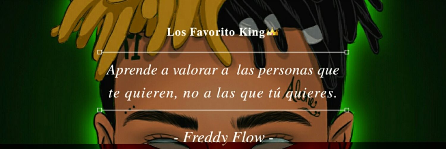 FreddyFlowrd's profile banner image
