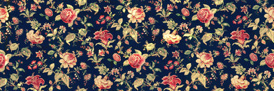 TwoTypesOfGirls's profile banner image