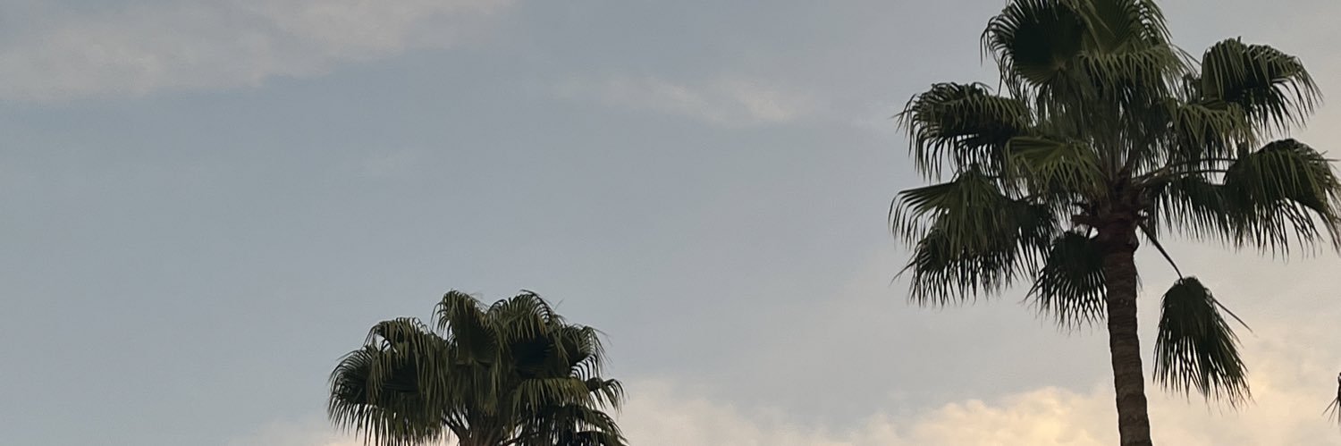 _gabbbs_'s profile banner image