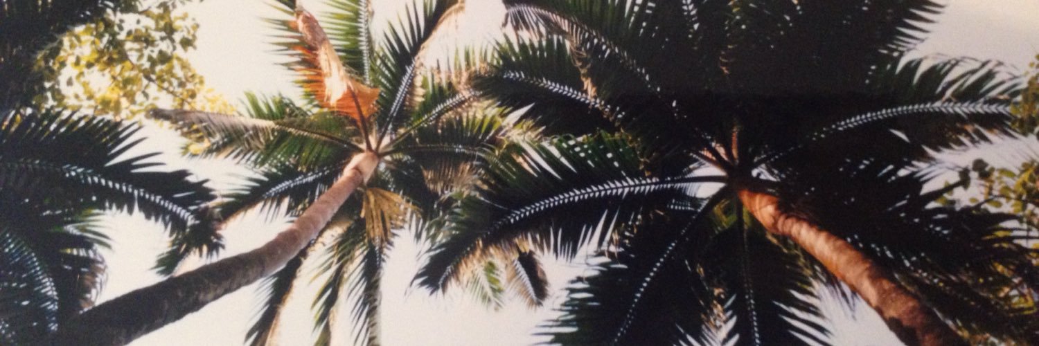 ShellieCurran's profile banner image