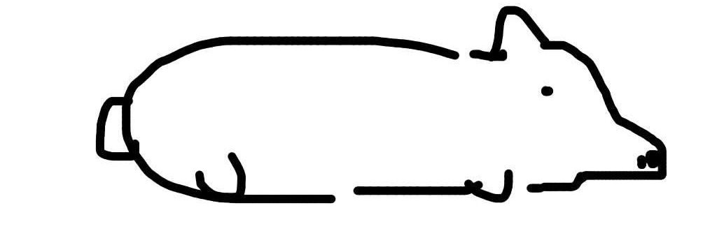 alison banner