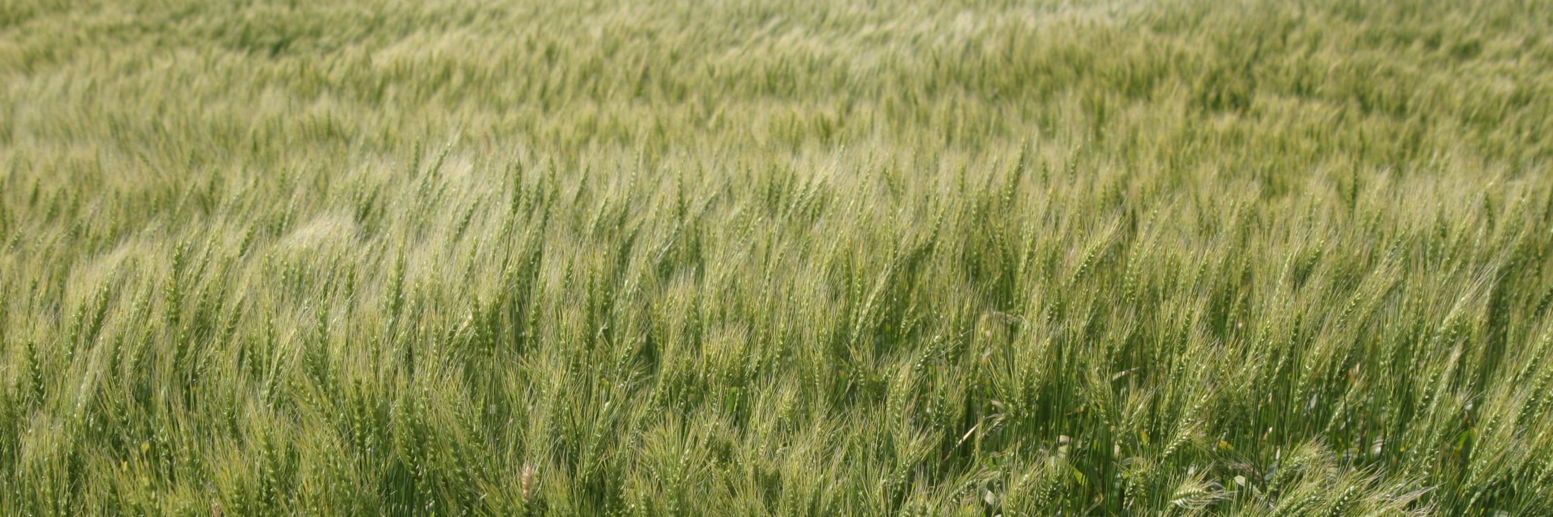 westgreenag's profile banner image