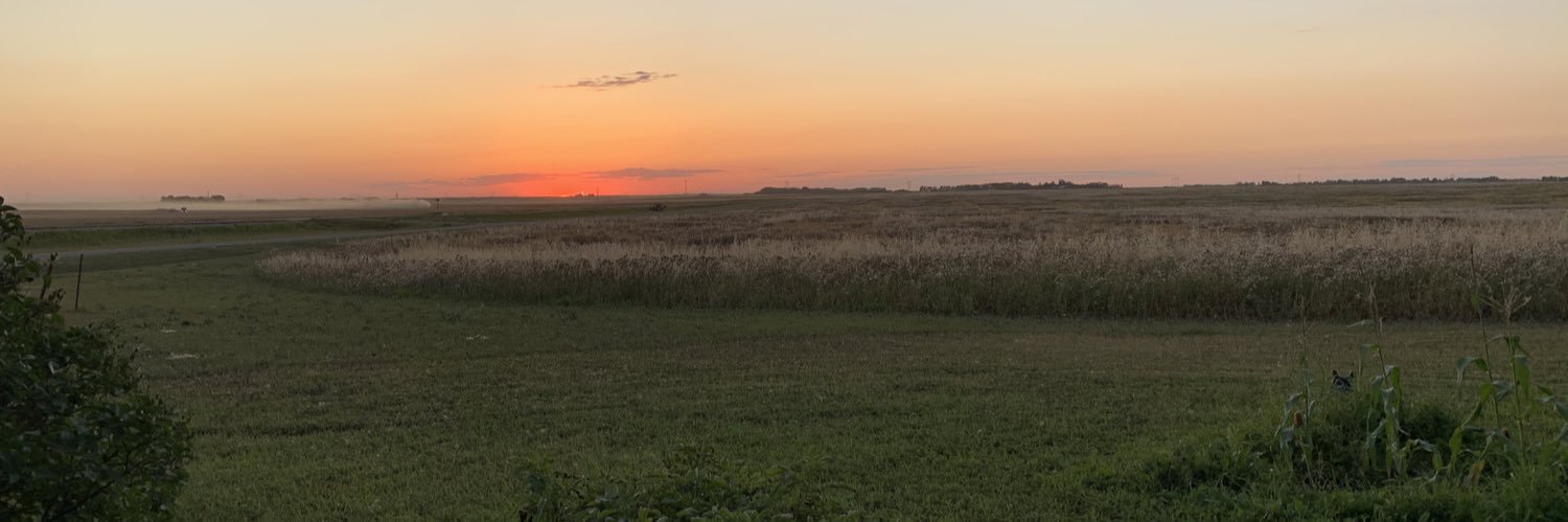NWiome's profile banner image