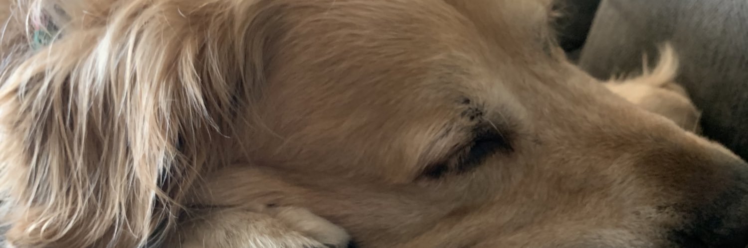 mhorning31's profile banner image