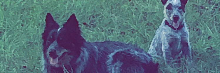 connerbryantt's profile banner image