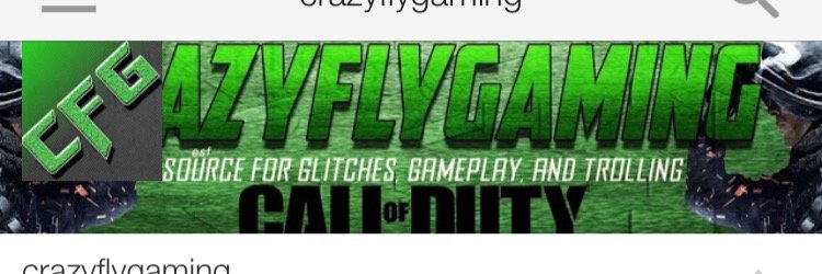 Crazyflygaming banner
