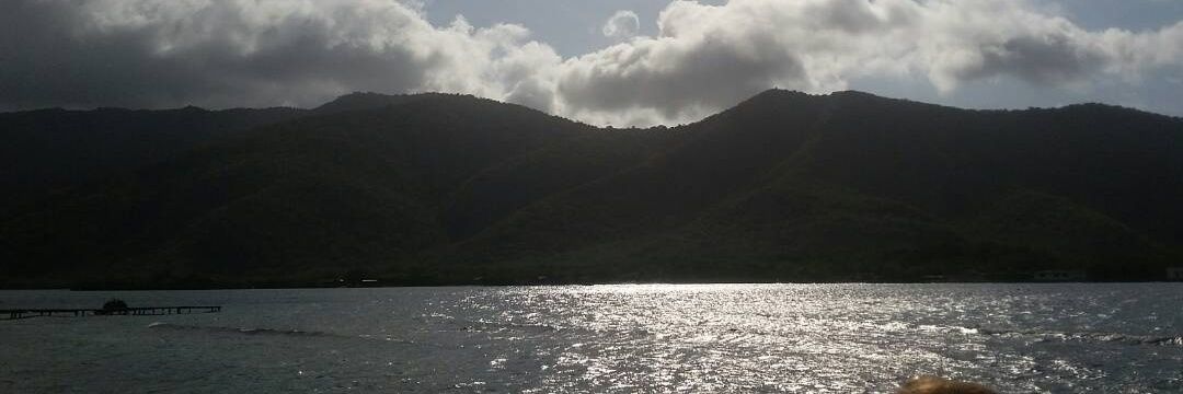 manuvelasque's profile banner image