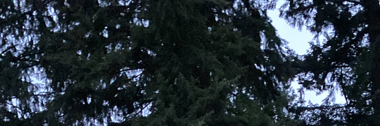 gillianb_'s profile banner image