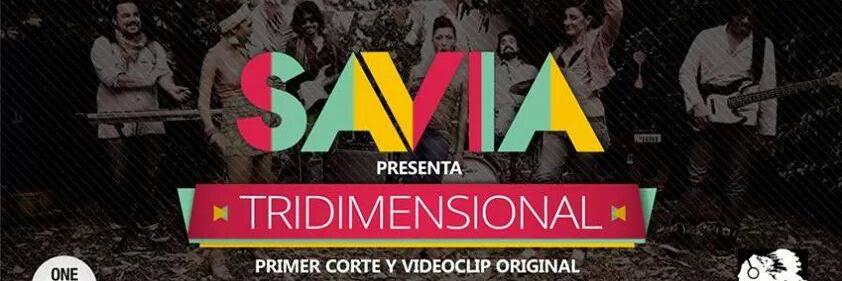 SaviaMusica's profile banner image