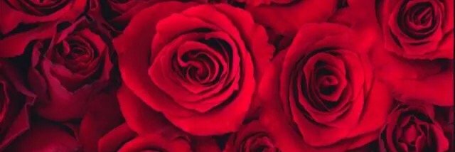 sajbee's profile banner image