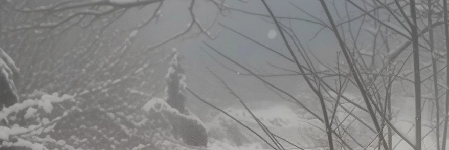 mimbrone's profile banner image