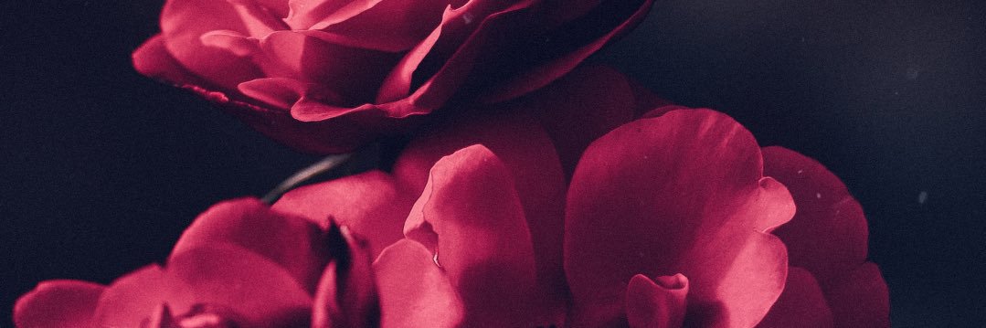 Braaayyden's profile banner image
