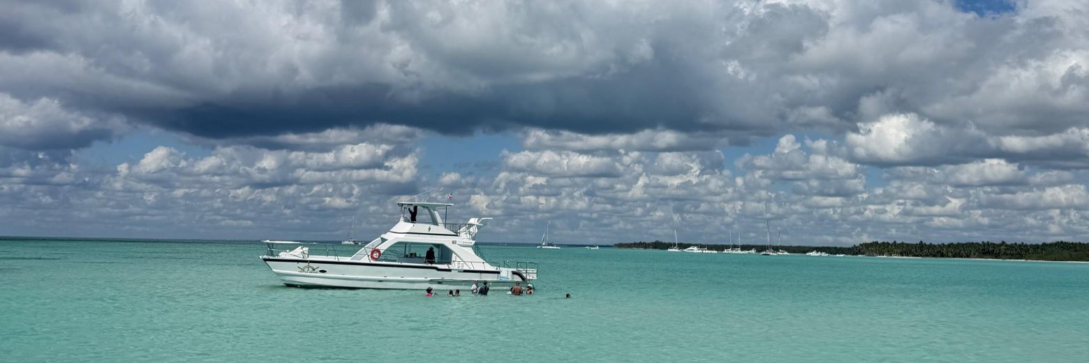 LuzzLillo's profile banner image
