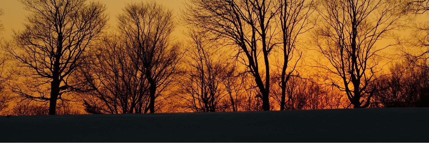 MPCoulombe's profile banner image