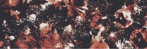 montesjulea's profile banner image