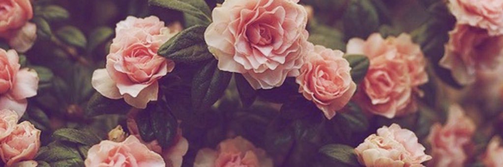oliver_rylee's profile banner image